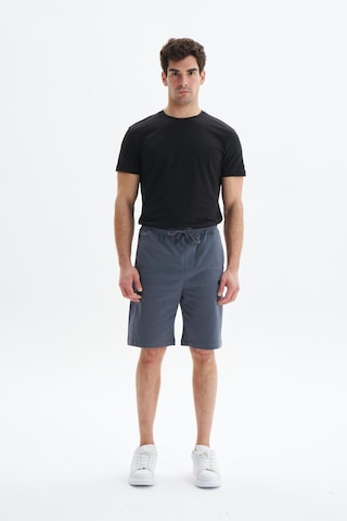 AR-MA Arma Erkek Regular Fit Basic Süprem % 100 Pamuk Cepli Şort Y29504279002 Gri