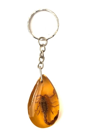 Üçgen Tasarım Akrep Fosilli Anahtarlık