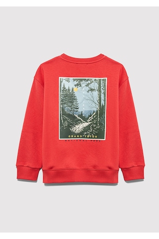 Mavi - Nature Roams On Baskılı Turuncu Sweatshirt 6s10148-71079 Turuncu