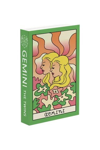 516 Gemını The Twıns