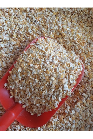 Kırık Mısır Kuş Güvercin Tavuk Yem 6 Kg Kırık Mısır Kuş Güvercin Tavuk Yem 6 Kg
