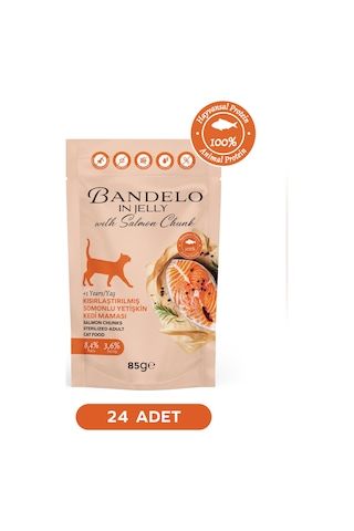 Somonlu Kısırlaştırılmış Yetişkin Kedi Yaş Maması - Jöle İçinde Parça Etli, 85 Gr X 24 Adet