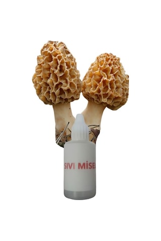 Kuzu Göbeği Mantarı Sıvı Miseli Mantar Miseli Tohumu 30cc