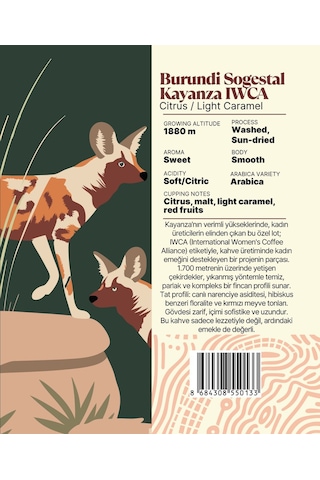 Burundi Sogestal Kayanza Iwca Yöresel Filtre Kahve 250 Gr. Çekirdek Kahve