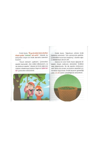 4.sınıf Okumayı Sevdiren Renkli Resimli Hikaye Seti 10 Kitap -3