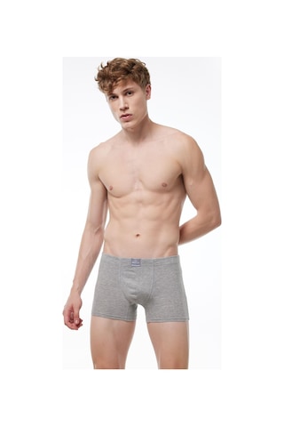Malabadi 074 Erkek Likralı Boxer-Gri