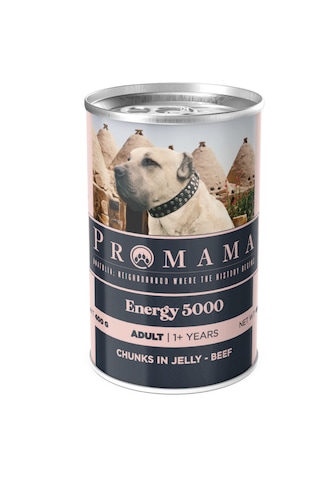 Promama Energy 5000 Yetişkin Biftekli Yaş Konserve Köpek Maması 400 Gr 36'lı Koli