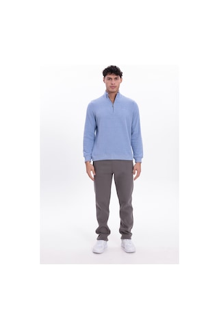 Rowinger Yarım Fermuarlı Dik Yaka Selanik Örme Erkek Sweatshirt Baby Blue