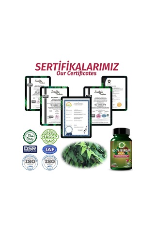 Gökçek Şifa Fo-Ti 1000 MG Isırgan Kapsül 60 Kapsül