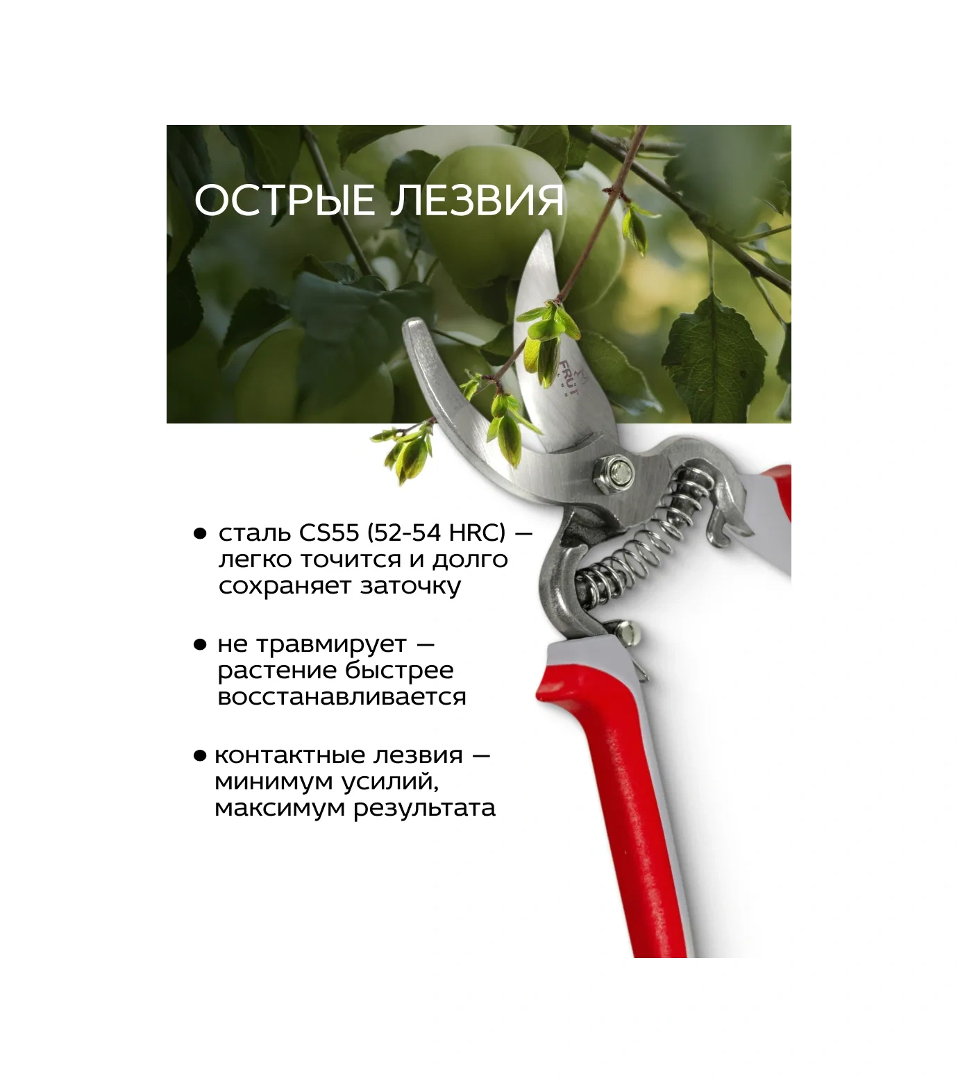 Frut Club Bahçe İçin Bütün Dövme Makas 18 Mm Kesim 11057577