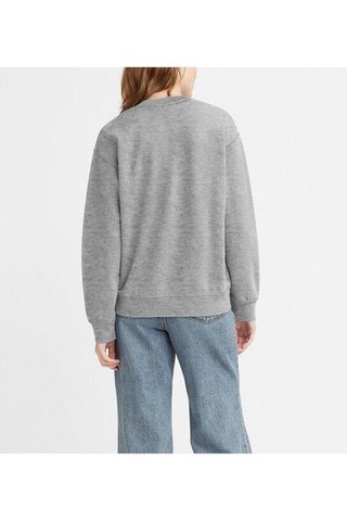 Graphic Standard Crewneck Sweatshirt Plus -5299 Gri
