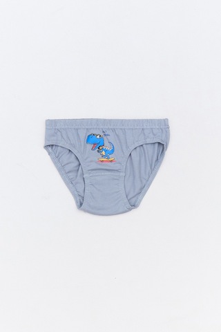 Fullamoda Dinozor Baskılı 3 Lü Erkek Çocuk Slip Külot 23mıcg631197491-mavi Mavi