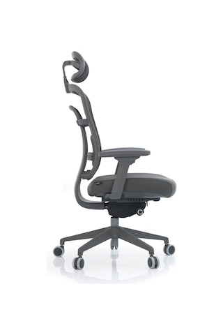 Passion Çalışma Oyuncu Ofis Yönetici Makam Koltuğu