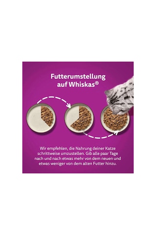 Whiskas Kedi Yaş Maması Tasty Duo 85 G