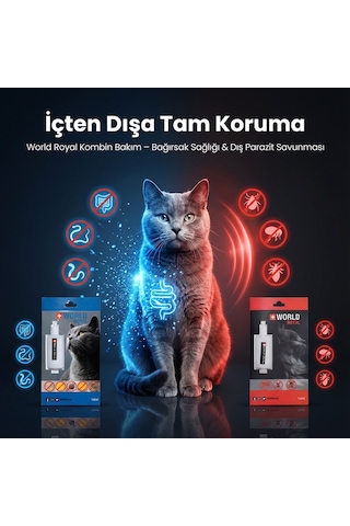 Kedi Dış Bit Pire Kene