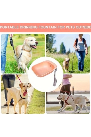 Maxaccess Yeşil Taşınabilir Evcil Hayvan Şişesi Sulama Besleyici Seyahat Çantasız Dayanıklı Plastik