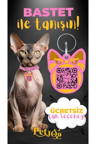 Petjoo 1.Bastet Sarı-Pembe Qr'lı Kedi Künyesi