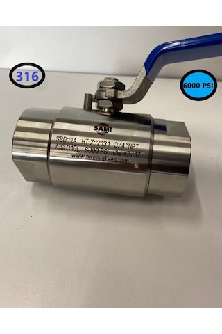 Dişli Küresel Vana-Peek Yüksek Bar 316L Dn20