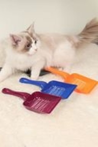 Gobypet Aralıklı Plastik Kedi Kumu Küreği,temizleme Eleme Küreği