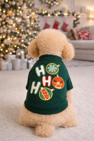 Gedyco Hohoho Zümrüt Küçük Irk Köpek Likralı Sweatshirt-17082
