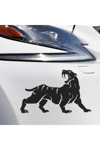 Araba Çıkartmaları, Tampon Koruyucuları Çok Renkli