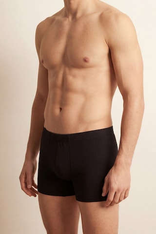 Auw Erkek Kıvırma Bel Pamuklu Modal Basic Boxer 3'lü - Softfit Siyah