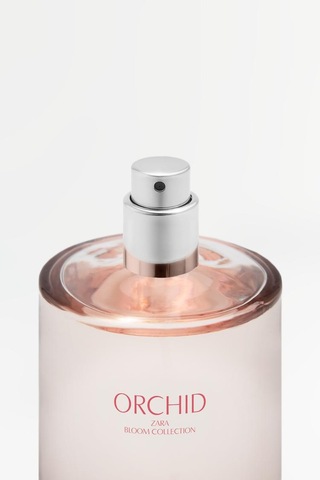 Zara Orchıd Edp 180 Ml 6.08 Fl. Oz . İndirimsehri Amber - Çiçeksi