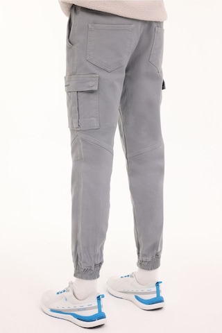 Lumberjack Ml Greys 23urb2055 4pr Gri Erkek Pantolon gri