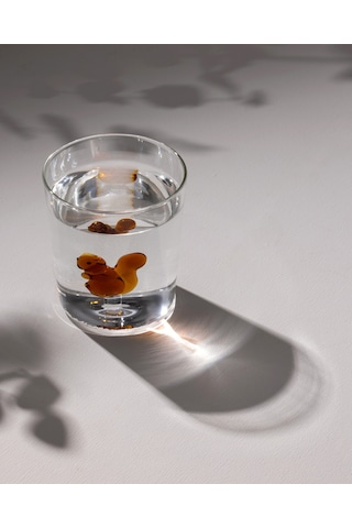 Madame Coco Violet Borosilikat Cam Bardak - Kahverengi - 350 Ml 8684427127520 Toprak