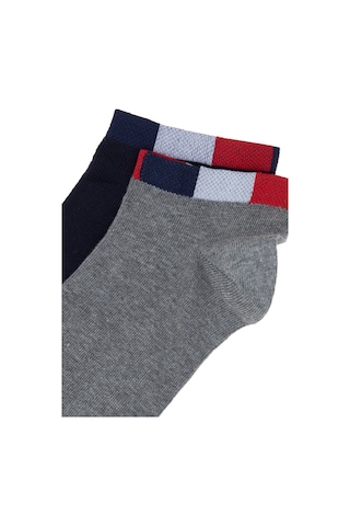 U.S. Polo Assn. Erkek 2'li Patik Çorap Gri Melanj
