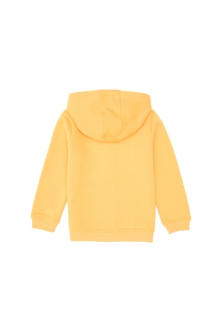 U.S. Polo Assn. Erkek Çocuk Mango Fermuarlı Kapüşonlu Sweatshirt 50313852-VR244