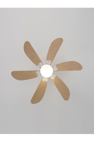 Woox İleri Geri Fonksiyonlu 6 Kanatlı Fan Ve Işıklı Uzaktan Kumandalı Tavan Vantilatörü, Kahverengi