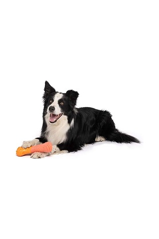 M-pets Vice Versa Bone Et Aromalı Köpek Oyuncağı 5,08x10,16x22,35 Cm 244-50097.01