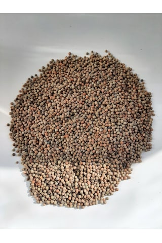 Mh Burçak Kuş Yemi 3 KG