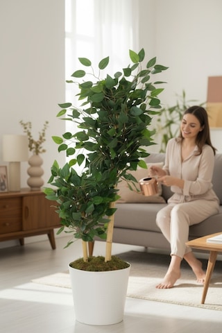 Yapay Ficus Benjamin Ağacı Dolgun Yeşil Yapraklı, Ev Ve Ofis Dekorasyonuna Uygun, Bambu Gövdeli Yeşil