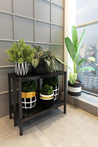 Scaffale 2 Banyo Rafı, Plastik Kitaplık, 2 Raflı Organizer, Banyo Rafı, Bahçe Balkon Organizeri Siyah