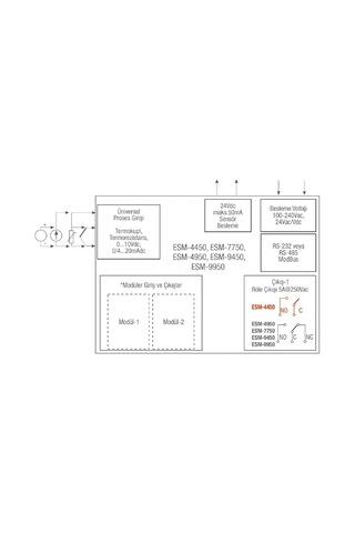 Emko Esm-9950.12011/0100/0000 ,96x96mm 110v..220vac Unıversal Kontak-2a2k Proses Kontrol