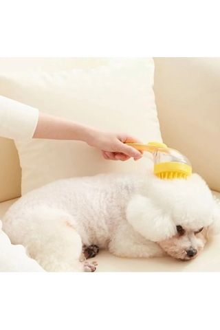 Büro Ev Ofis Evcil Pet Hayvanı İçin Tarak Sıvı Hazneli Kedi Köpek Tarağı