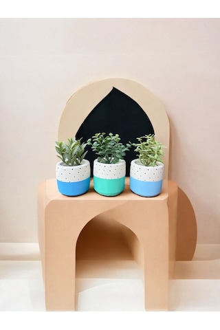 Renkli Saksı Seti Sukulent Kaktüs Dekoratif Eşya- Ev Dekorasyon - Saksı Seti 6
