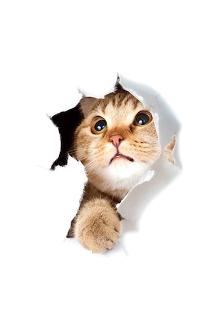 Vkemall 3d Gerçekçi Kedi Desenli Su Geçirmez Otomatik Yapışkan Pvc Duvar Sticker - Xh2005 Modeli Diğer