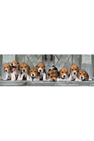 Clementoni 39435 Beagles. 1000 Parça Puzzle