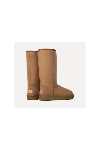 Bot Kadın 1016224 Ugg W Classıc Tall Iı Chestnut Taba Chestnut Taba