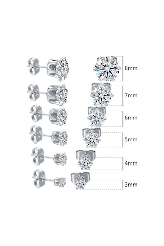 Chavin Gri Çelik 6 Takım Taşlı Bayan Erkek Küpe ai09-t Gümüş