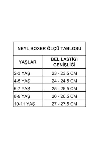 Erkek Çocuk Desenli Boxer 10'lu Karışık 10'lu