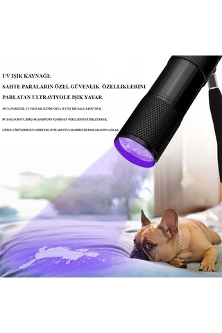 Oyuncak Banknot Işığı Ultraviole Wt-302 Çok Renkli