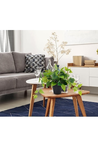 Saksıda Sarmaşık Sarı Yeşil Oval Yapraklı Sarmaşık Yapay Çiçek Siyah Saksıda