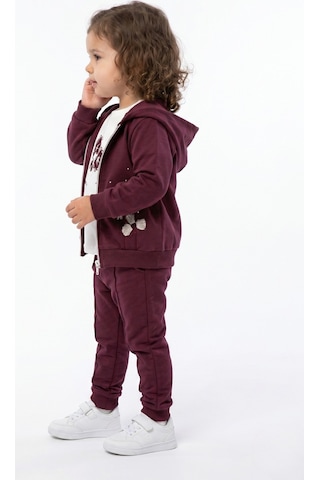 Toontoy Kids Toontoy Kız Çocuk 3'lü Eşofman Takımı Uzun Kollu Bisiklet Yaka Nakışlı T-shirt - Kapüşonlu Fermuarlı Hırka- Beli Paçası Lastikli Eşofman Altı 25042 Mor