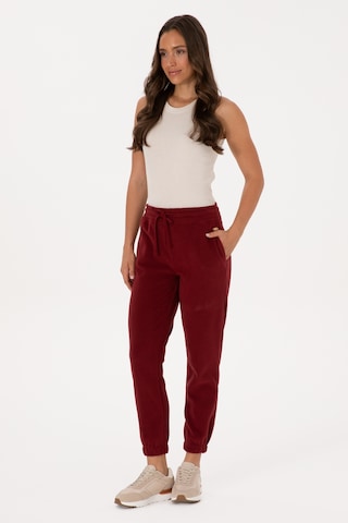 U.S. Polo Assn. Kadın Bordo Polar Jogger Eşofman Altı 50318758-VR014
