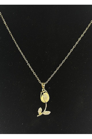 Kadın Çelik Kolye - Kçk-17 Çok Renkli