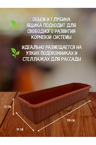 Prohoz Fide Ve Çiçekler İçin Tepsi 207487157